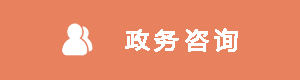 政務咨詢
